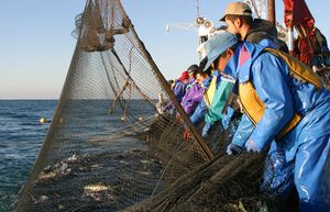 漁業法記念日.jpg